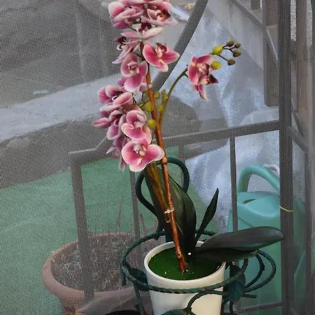 Al Borghetto Appartement